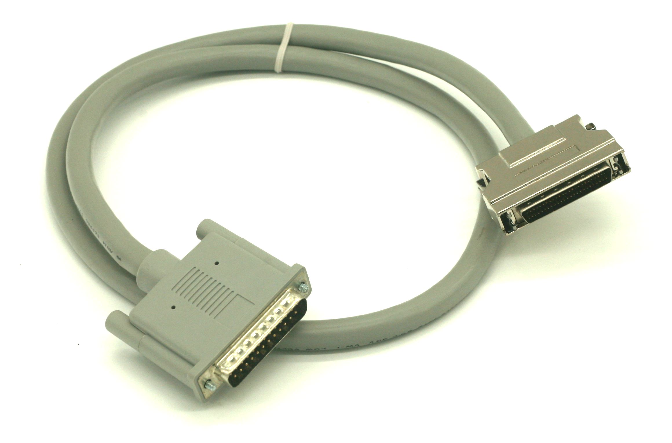 01021 Supplementary Image