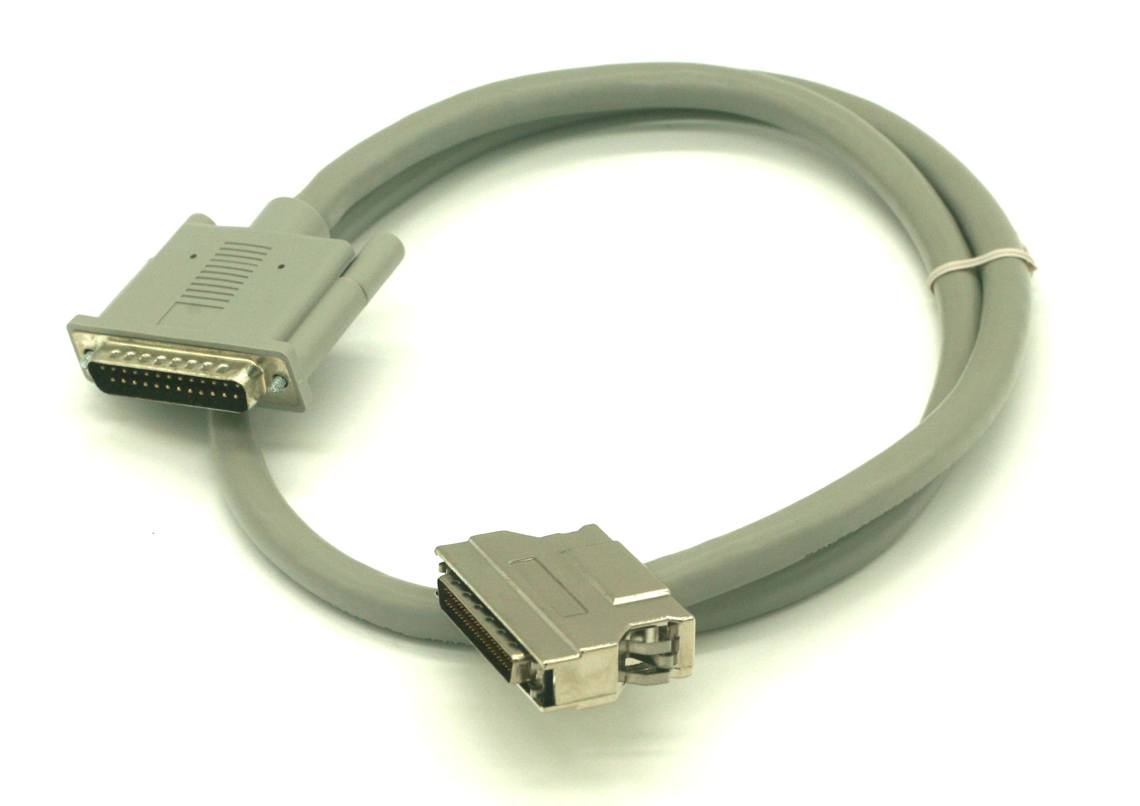 01021 Supplementary Image
