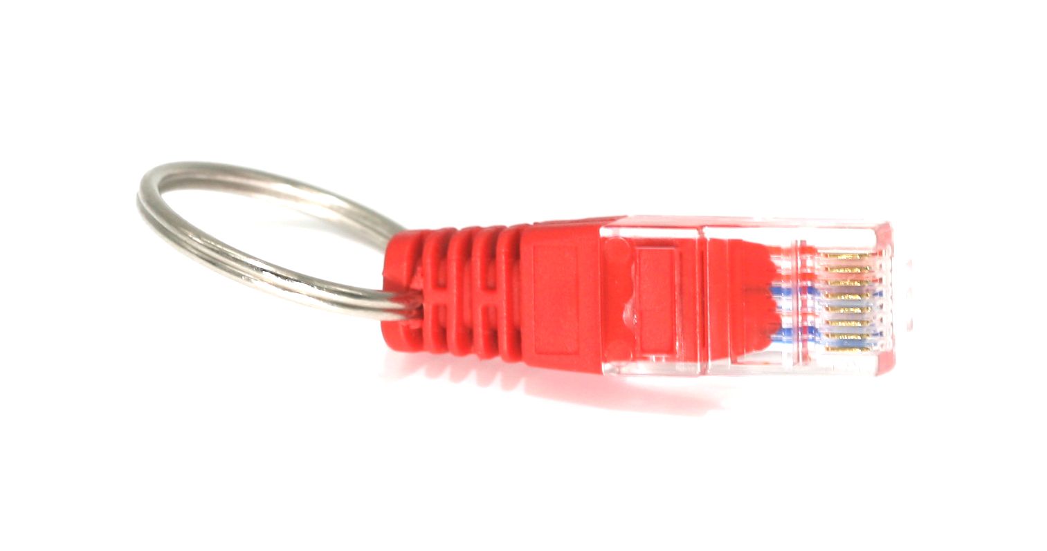 31025 Supplementary Image