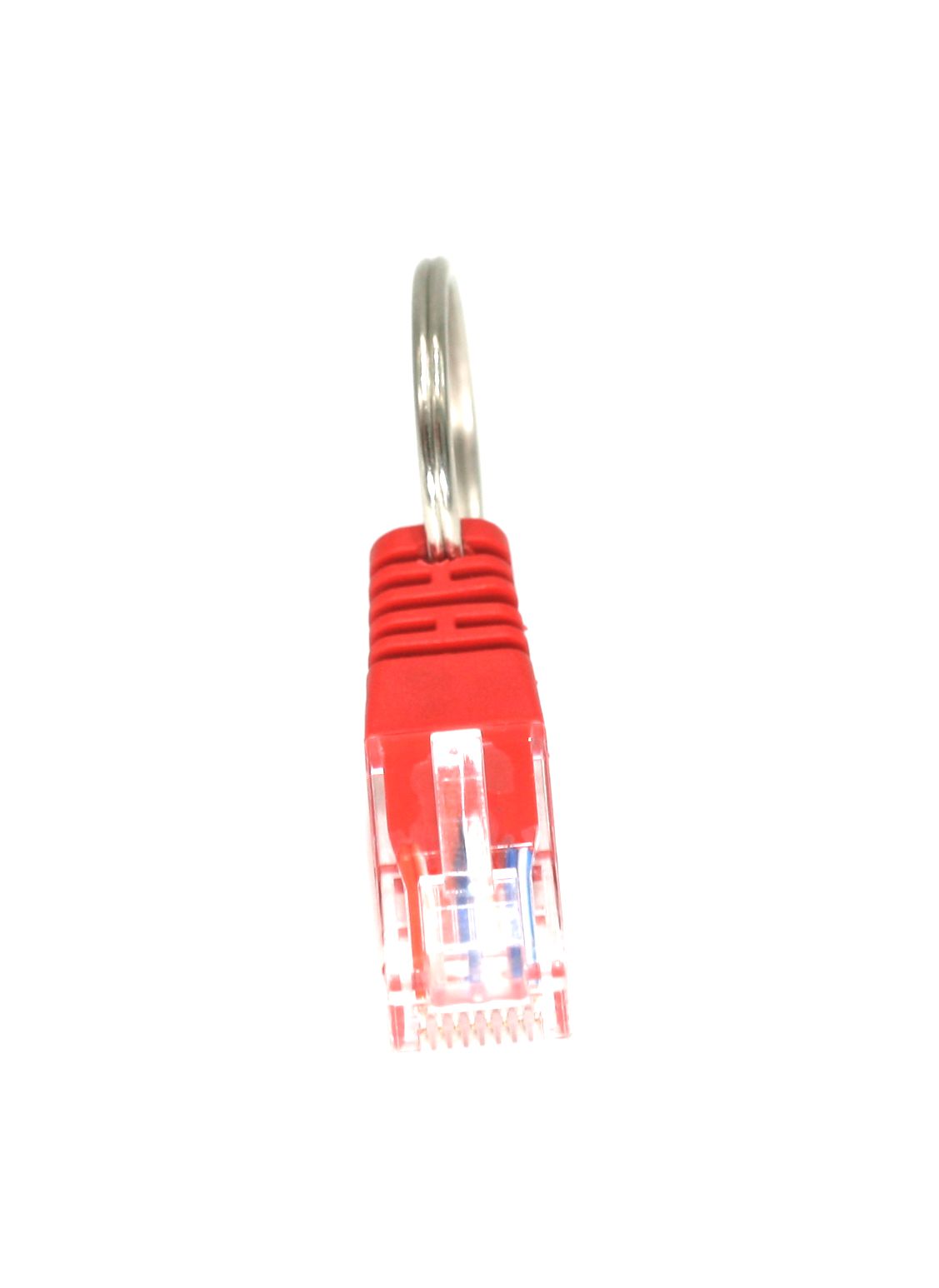 31025 Supplementary Image