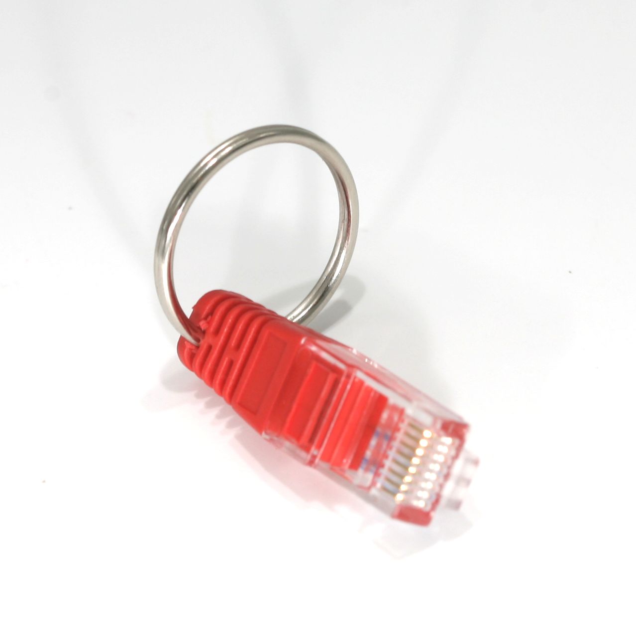 31025 Supplementary Image