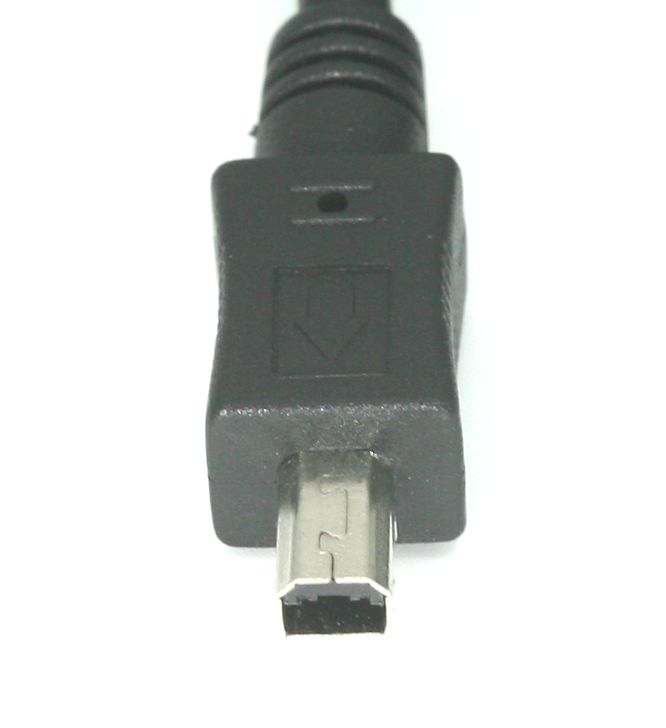 70518 Supplementary Image
