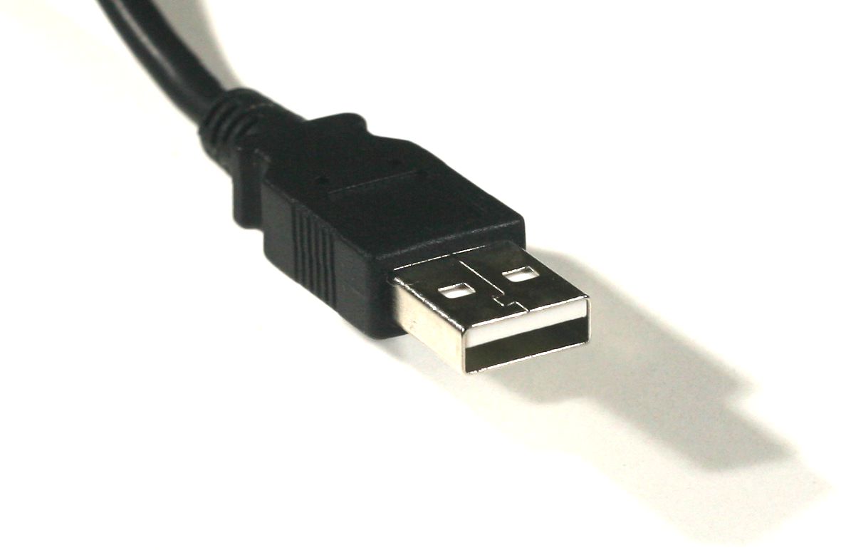 70567 Supplementary Image
