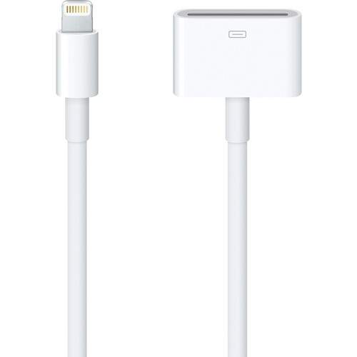 IPhone Lightning to 30Pin Adapter DockPort 8 inch