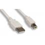 USB 2.0 Cable TYPE A to TYPE B Cable 6FT White